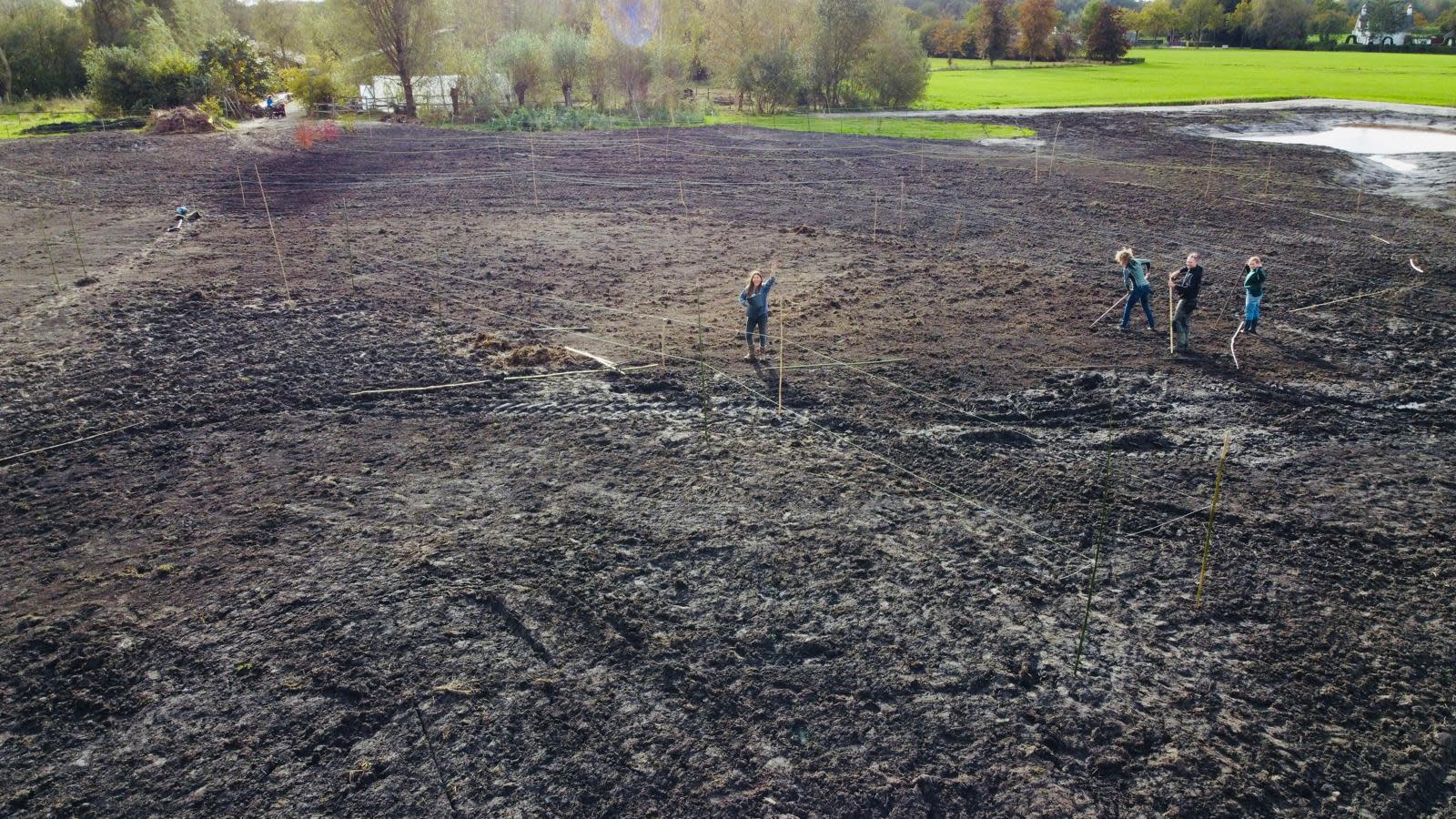 Bezig met de aanplant van de eerste boompjes, Oktober 2024