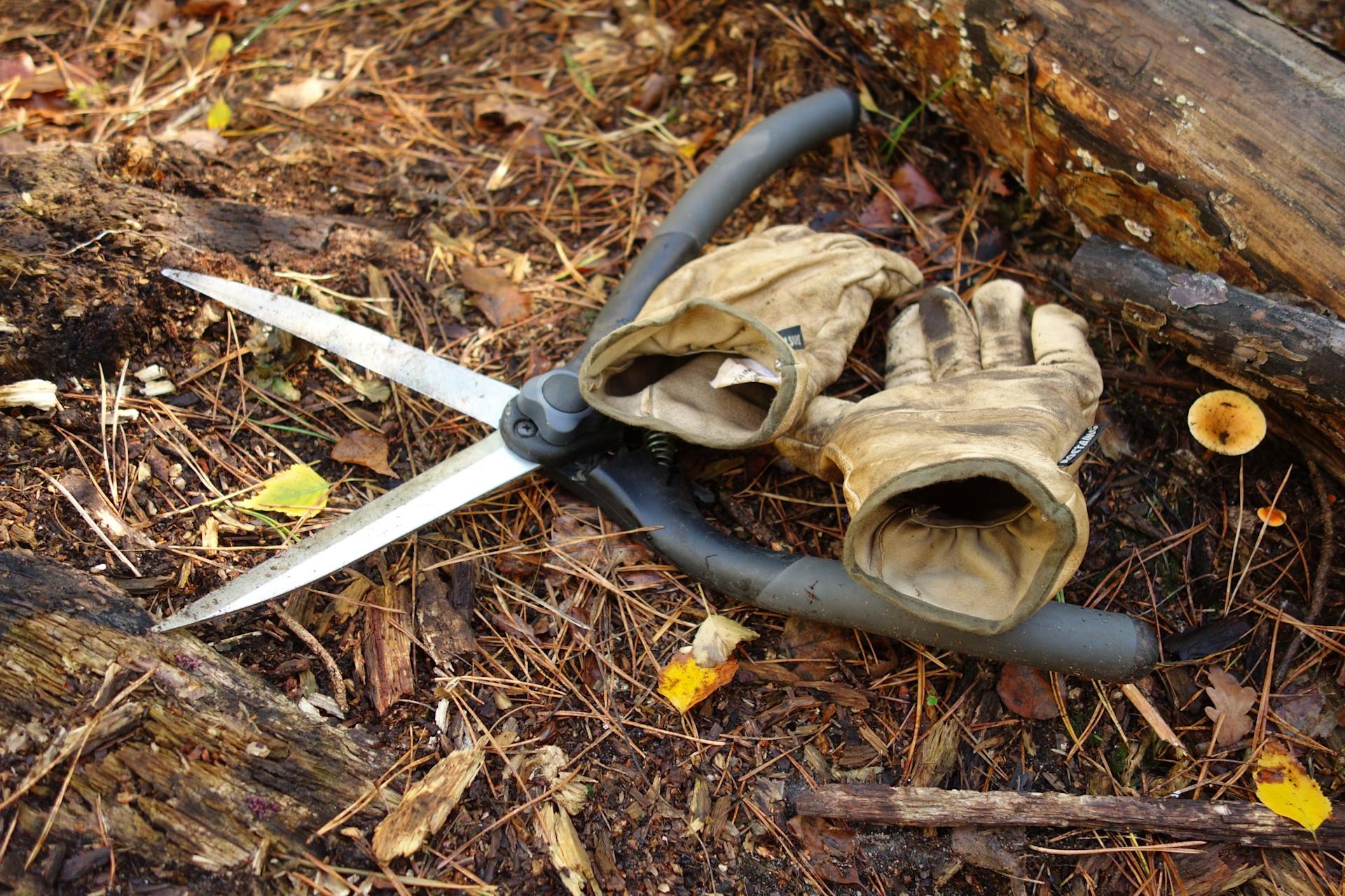 Scissors