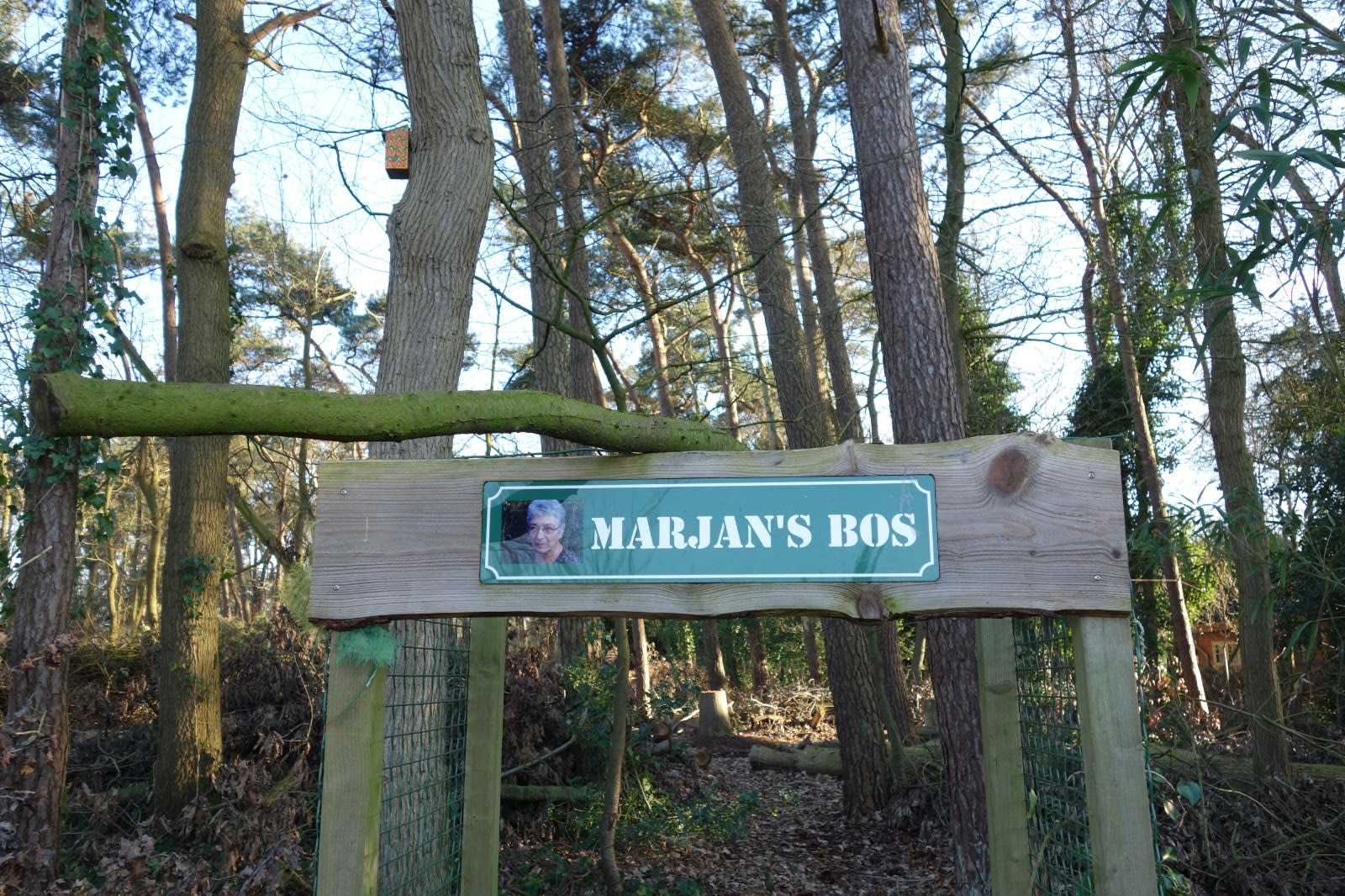 Marjan's Bos