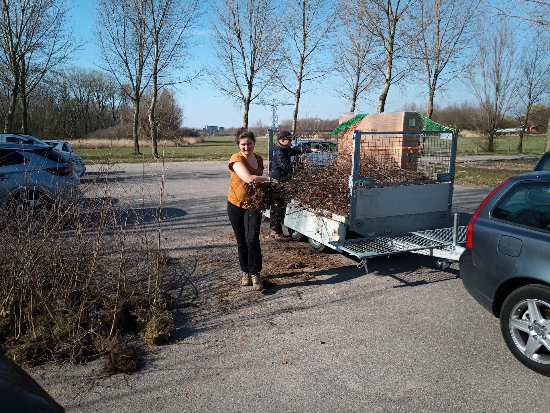 Boompjes van meerbomen.nu