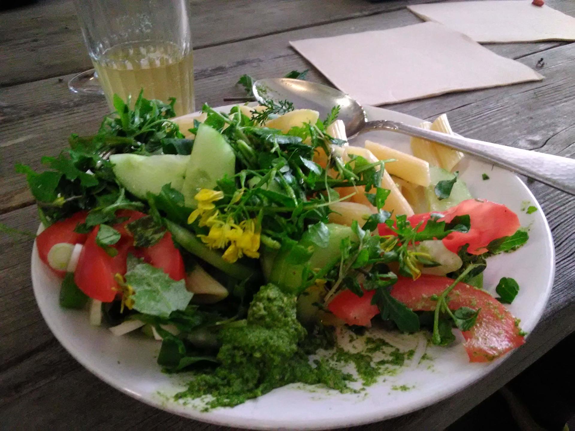 Wilde pasta pesto met onkruid salade en vlierbloesem siroop