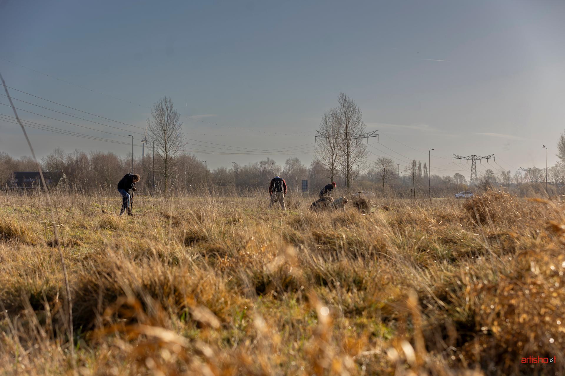 Plannen van Voedselbos de Haverleij voor 2026 🍄