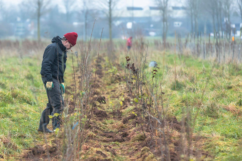 Het resultaat van een bijzonder productieve ochtend (en dank aan Wim Roelsma voor de mooie foto’s!)