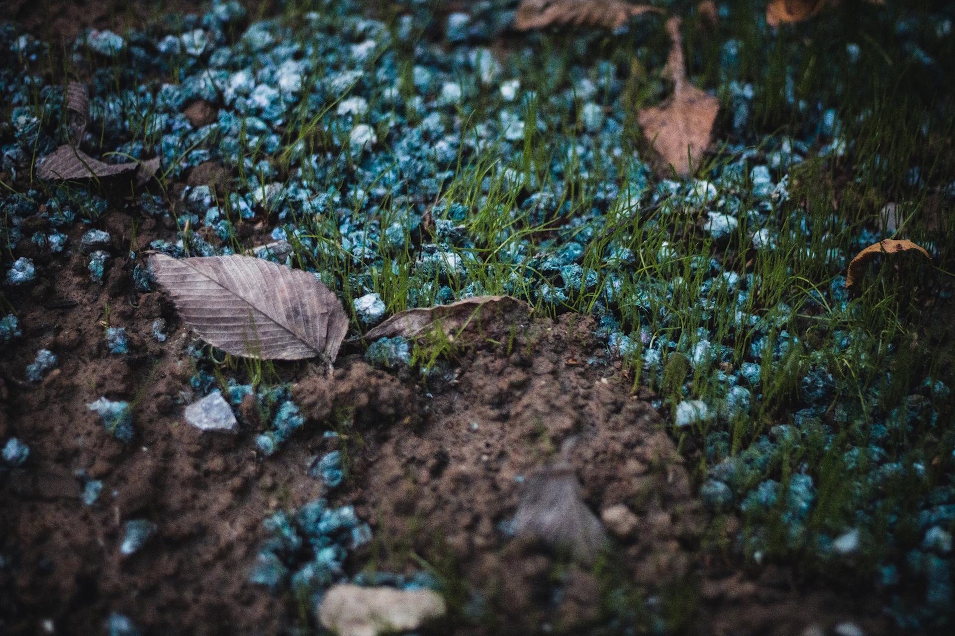 sean-foster-WOJazEMoUKQ-unsplash