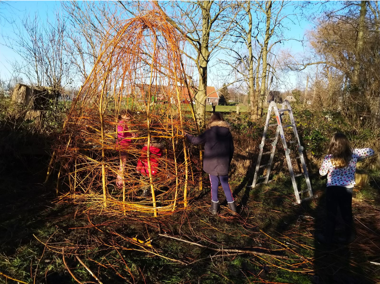 Kinderwilgenbouwsel op de Zaanse tuin