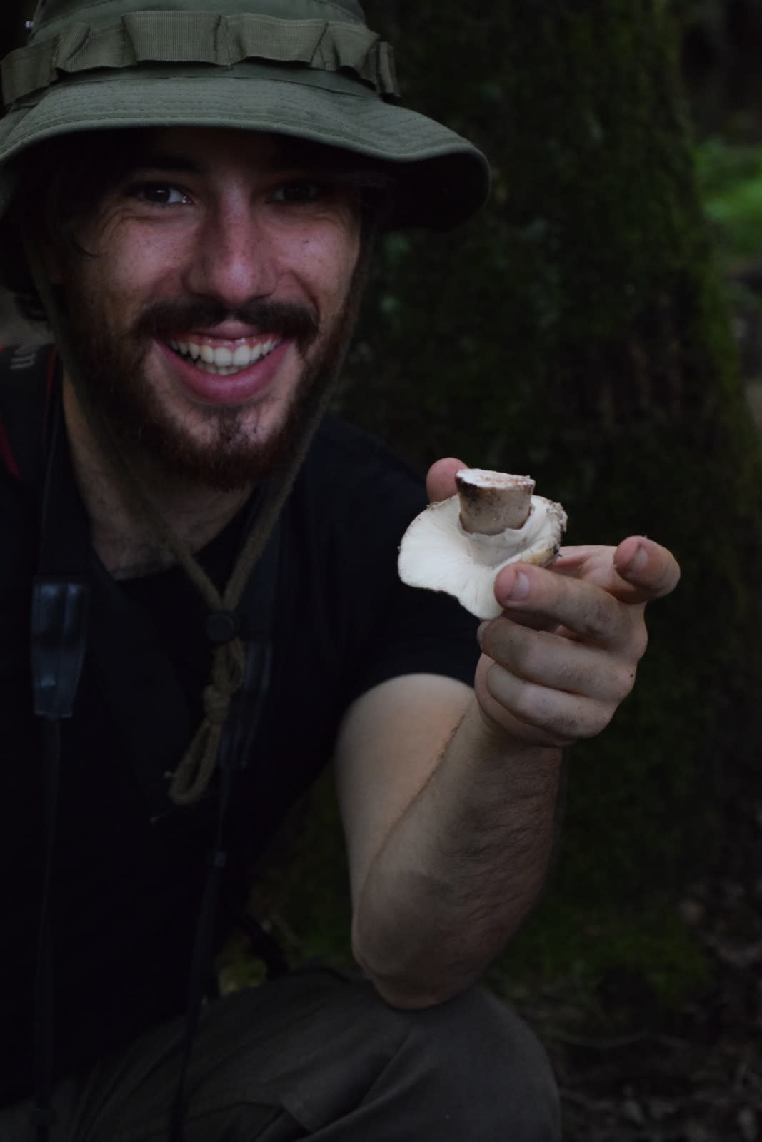 Paddenstoelen expert Jip laat een Parelamaniet zien